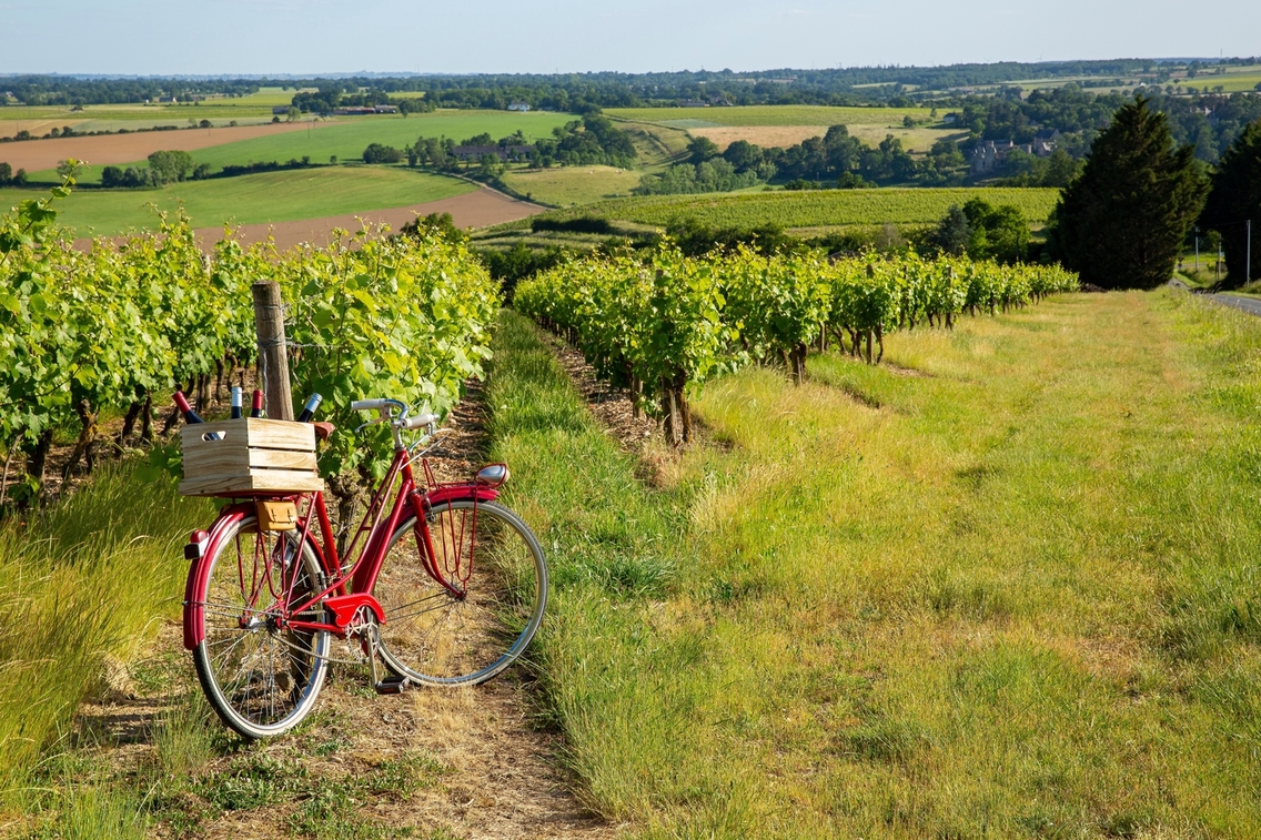 image d'un vélo rouge stationné dans les chemins des vignes de bourgogne