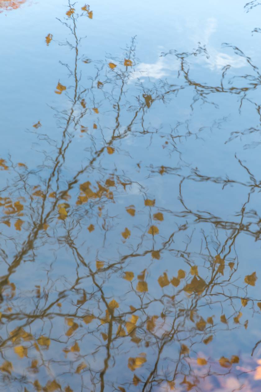 automne (1)