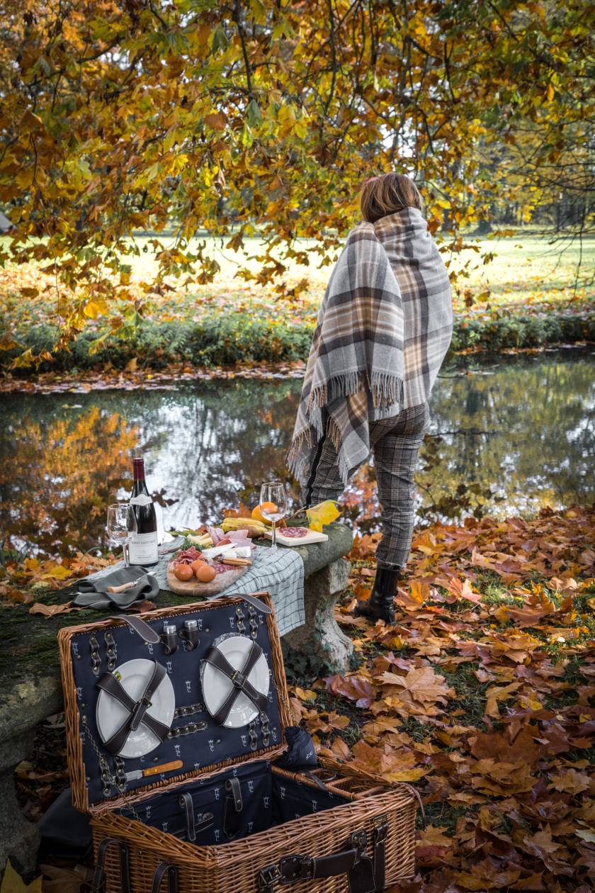 automne (7)